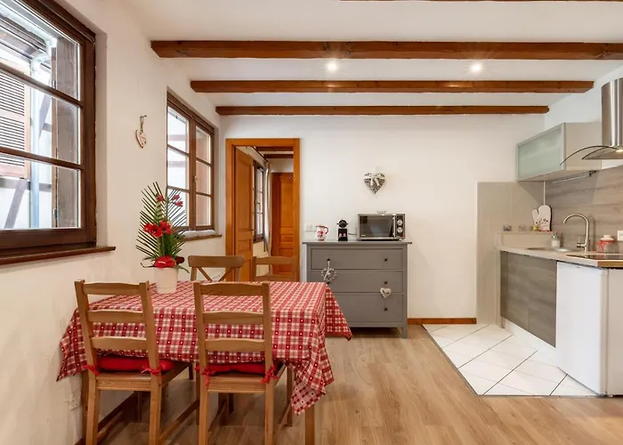 Travel Homes - Tanneur 3, Just Next To Little Venice * Colmar